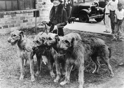 Elizabeth White walking four of her beloved Irish wolfhounds in downtown Santa Fe. The Whites raised prize-winning Irish wolfhounds and Afghan hounds starting in 1931. AC20_02g