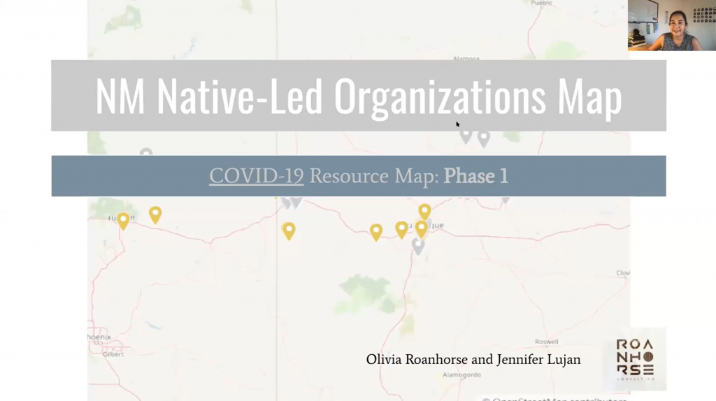 NM Native-Led Organizations